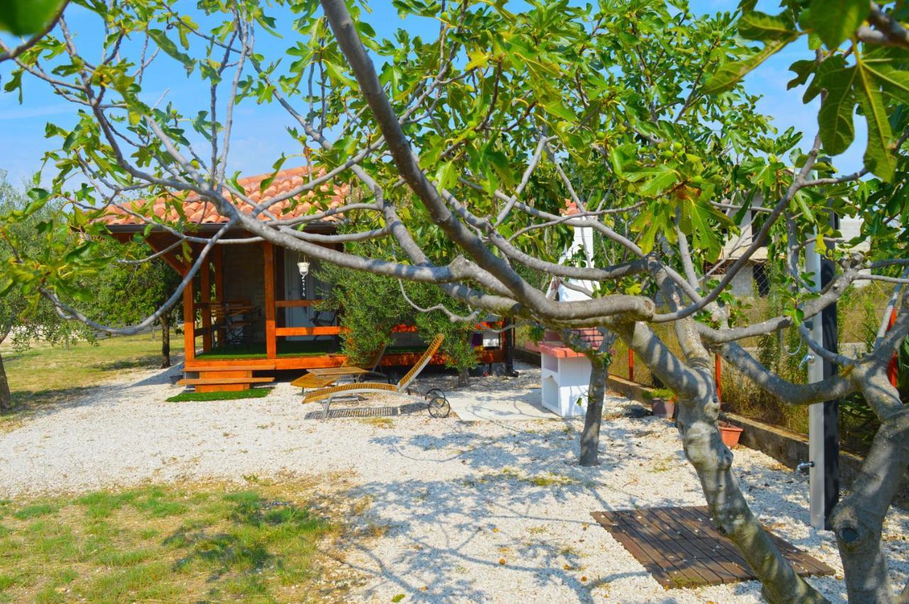 Studio Apartments Luka Biograd - Бенковаць Екстер'єр фото