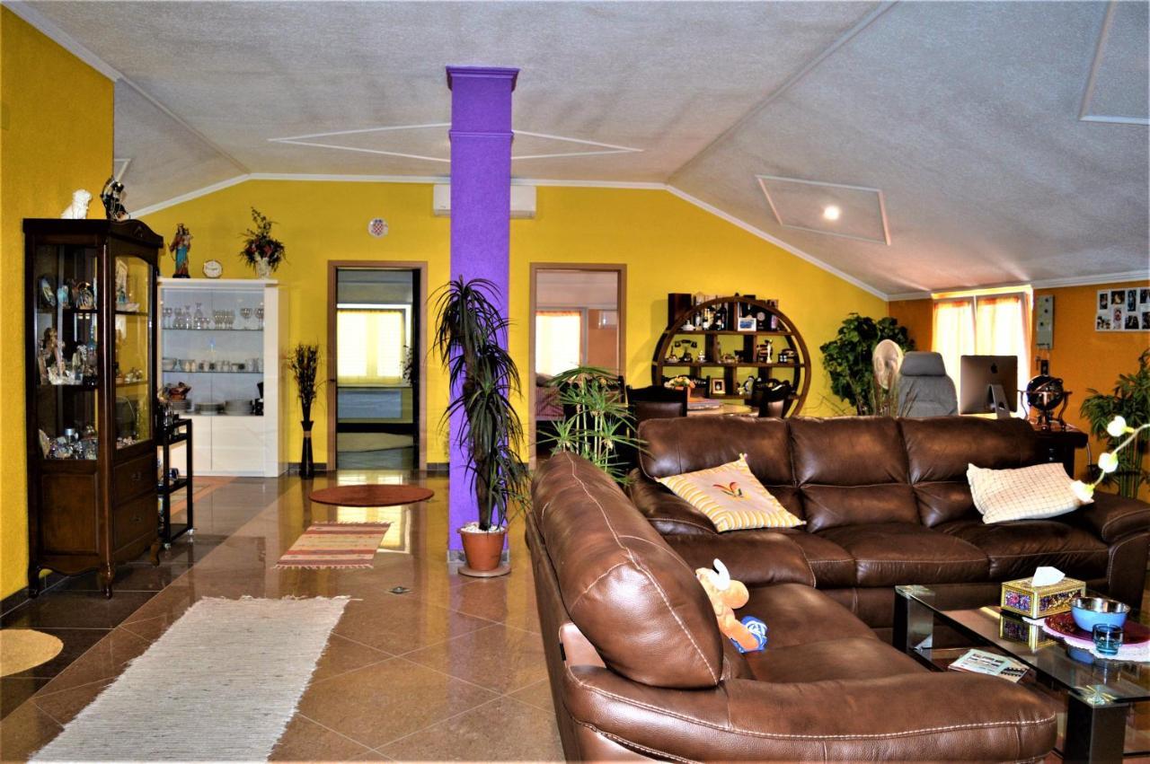 Studio Apartments Luka Biograd - Бенковаць Екстер'єр фото