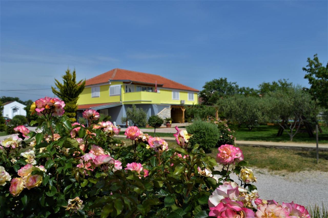 Studio Apartments Luka Biograd - Бенковаць Екстер'єр фото
