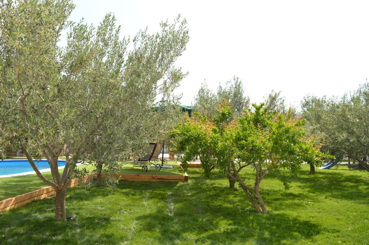 Studio Apartments Luka Biograd - Бенковаць Екстер'єр фото